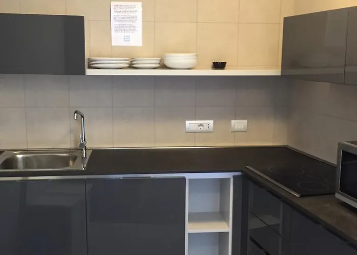 Komodo Short ترينتو